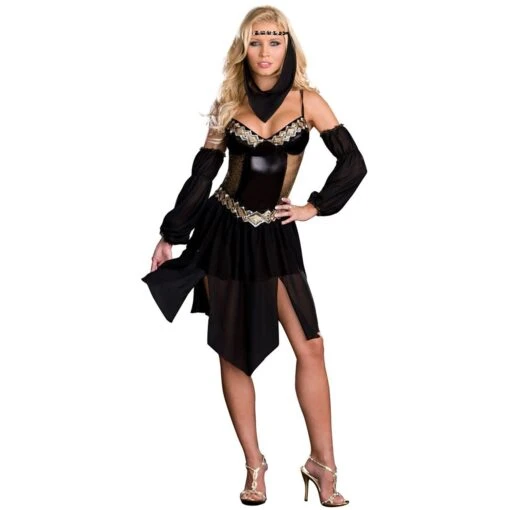 Dreamgirl Sexy Harem Girl Costume