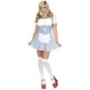 Dorothy Costume / Wizard Of Oz Costumes / Dress With Underskirt -Epic Costumes 61D5svdf5jL. UL1500