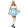 Sexy And Fun Alice Costume With Attached Petticoat -Epic Costumes 61Uwd4ldhHL. UL1500