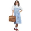 Unknown Wizard Of Oz - Dorothy Adult Plus-Size Costume
