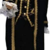 Thomas Jefferson, Beethoven, Mozart Or Colonial Boy Costume -Epic Costumes BookReT3021