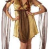 Grecian Goddess Costume -Epic Costumes RomansCC998