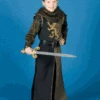 Child Knight Costume / Prince Valiant / Deluxe Quality -Epic Costumes SSB69