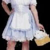 Dorothy Costume Plus Size -Epic Costumes StorybCS85219