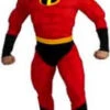 Mr. Incredible Deluxe Muscle Costume Adult -Epic Costumes SuperhMDG5368