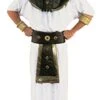 King Of Egypt / King TUT / Egyptian Pharaoh / Tutankhamen Costume -Epic Costumes T7729PharaohWhite