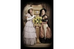 Southern Belle Costume -Epic Costumes T7744SouthernBelle2Camden