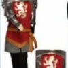 Warrior Prince / Knight Costume / Child Size -Epic Costumes WARRIOR PRINCE