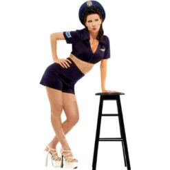 Air Force Gal Costume Pinup #4